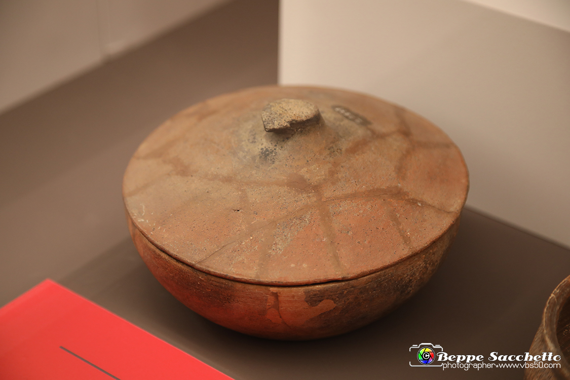 VBS_8877 - Mostra Invito a Pompei.jpg